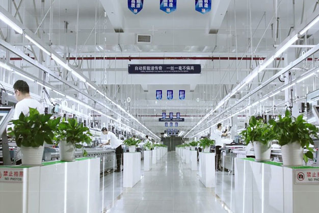 合肥知衣科技《 综合实力片》