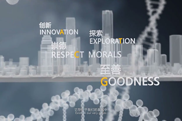 合肥杨子国投宣传片-金融投资-英文版