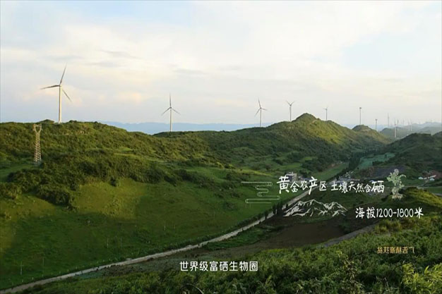 国家品牌计划精准扶贫广告片